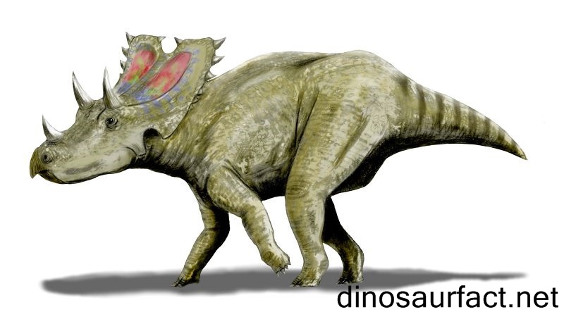 Agujaceratops Dinosaur