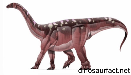 Blikanasaurus Dinosaur
