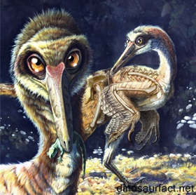 Buitreraptor Gonzalezorum