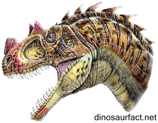 Ceratosaurus Dinosaur