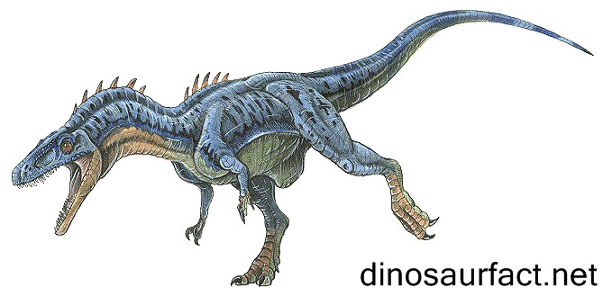 Chindesaurus Dinosaur