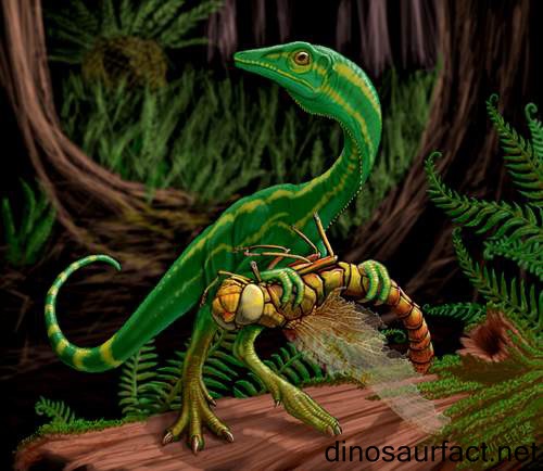 Compsognathus Dinosaur