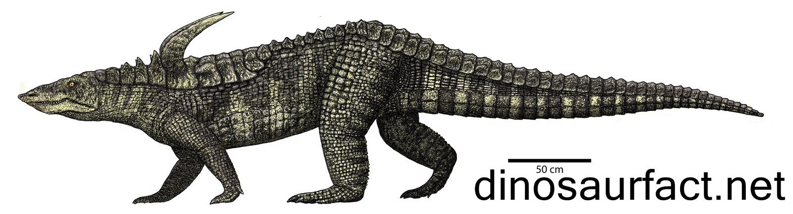 Desmatosuchus Dinosaur