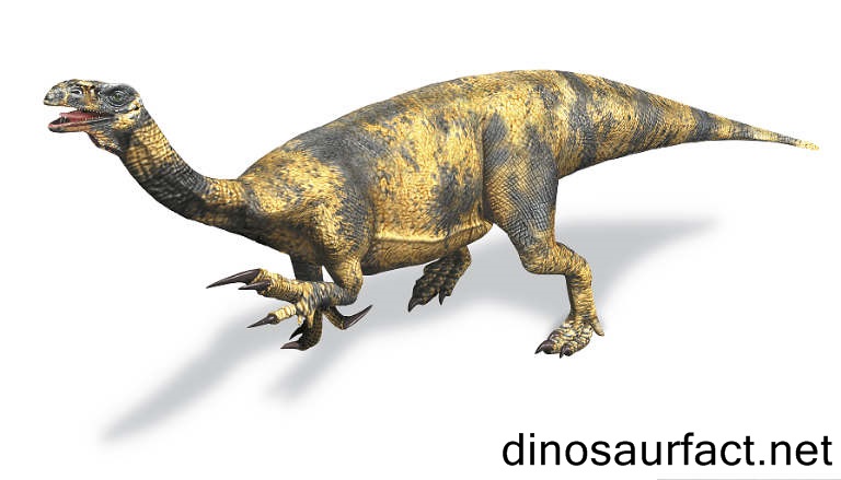 Efraasia Dinosaur
