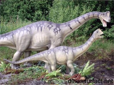 Europasaurus Dinosaur