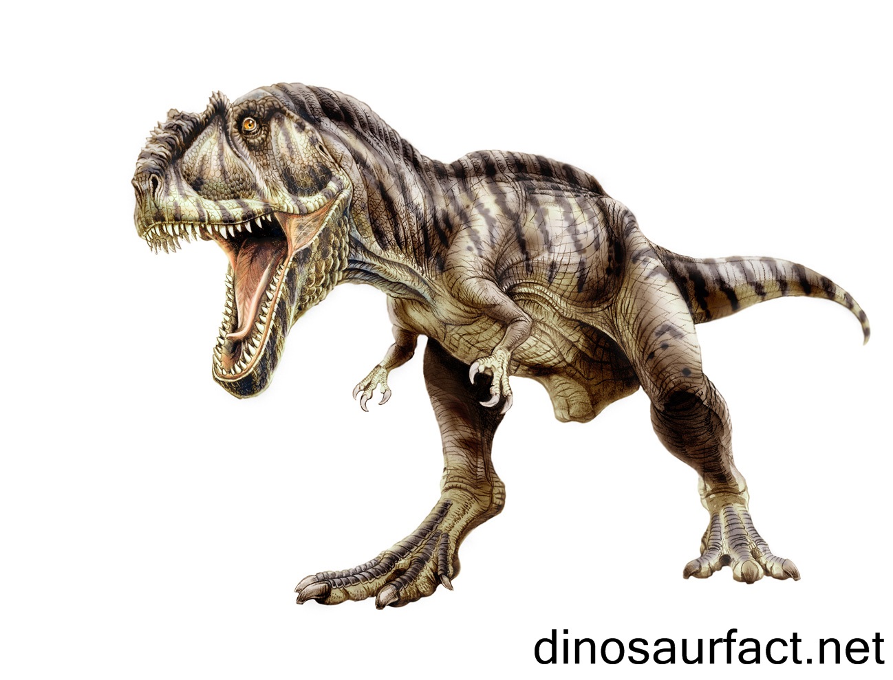 walking with dinosaurs giganotosaurus