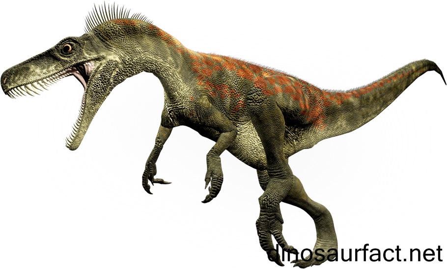 Herrerasaurus Dinosaur