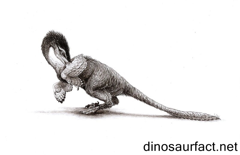 Hesperonychus Dinosaur