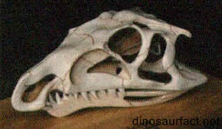 Hesperonychus