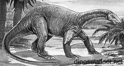Likhoelesaurus Dinosaur