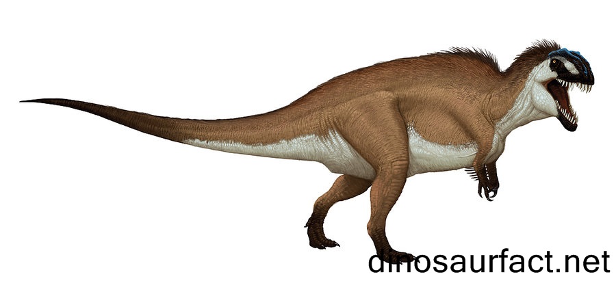 Lophostropheus Dinosaur