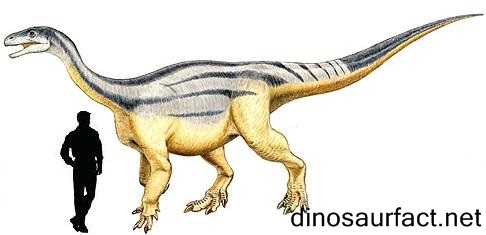 Melanorosaurus Dinosaur