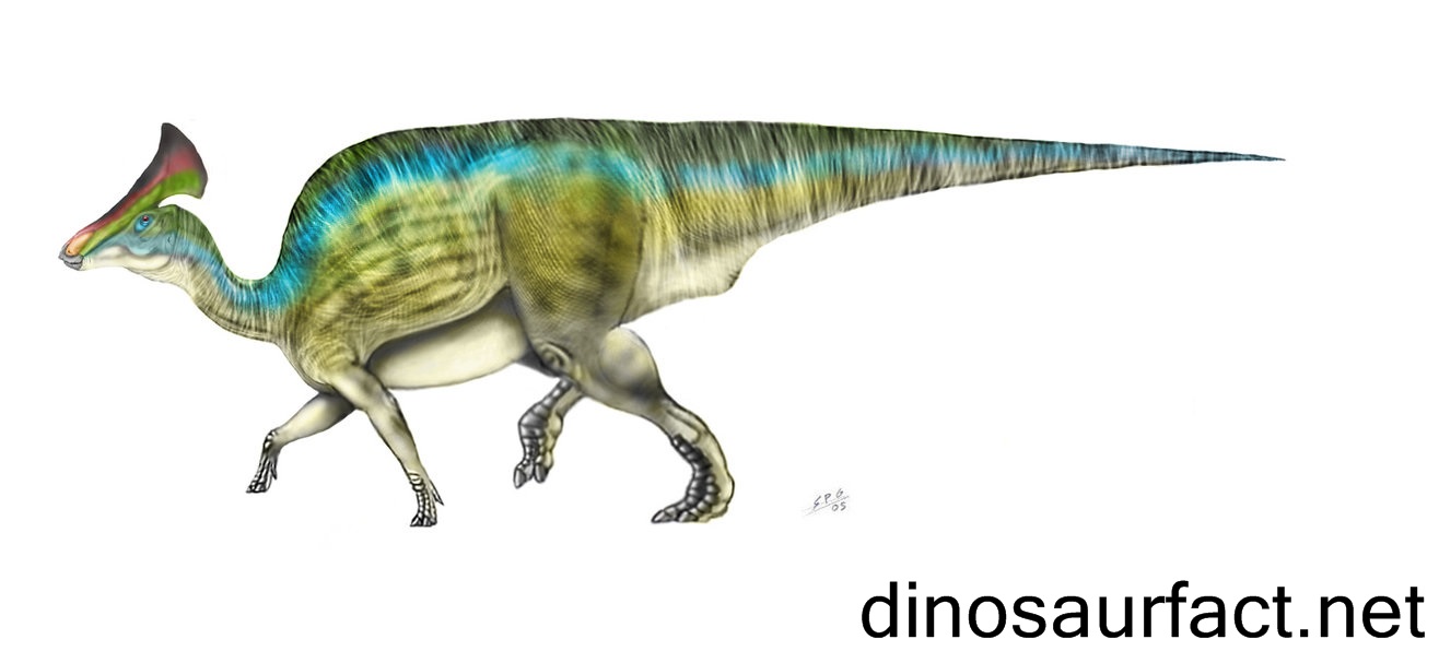 Olorotitan Dinosaur