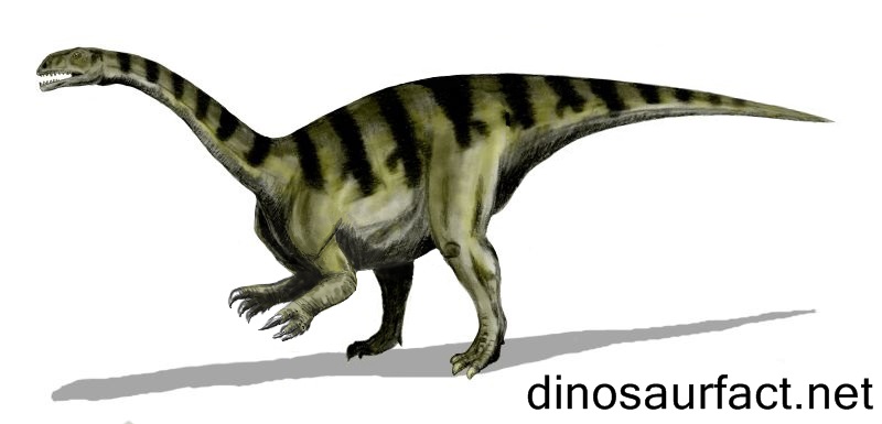 Plateosaurus Dinosaur