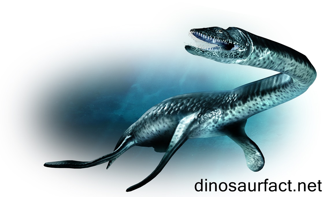 Plesiosaurus2.jpg