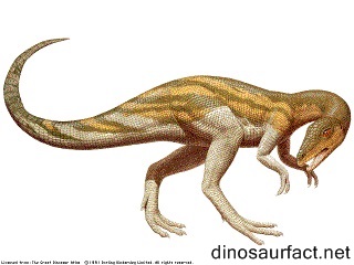 Procompsognathus Dinosaur