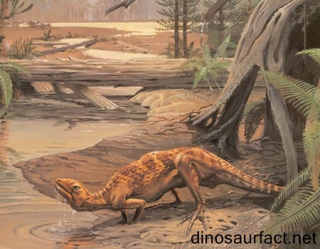 Scutellosaurus Dinosaur
