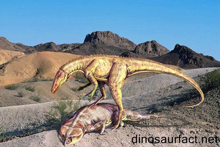 Staurikosaurus Dinosaur