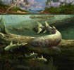 Devonian