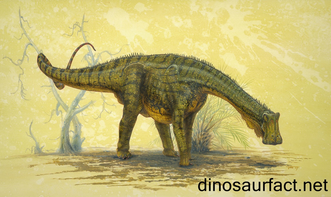 Nigersaurus dinosaur