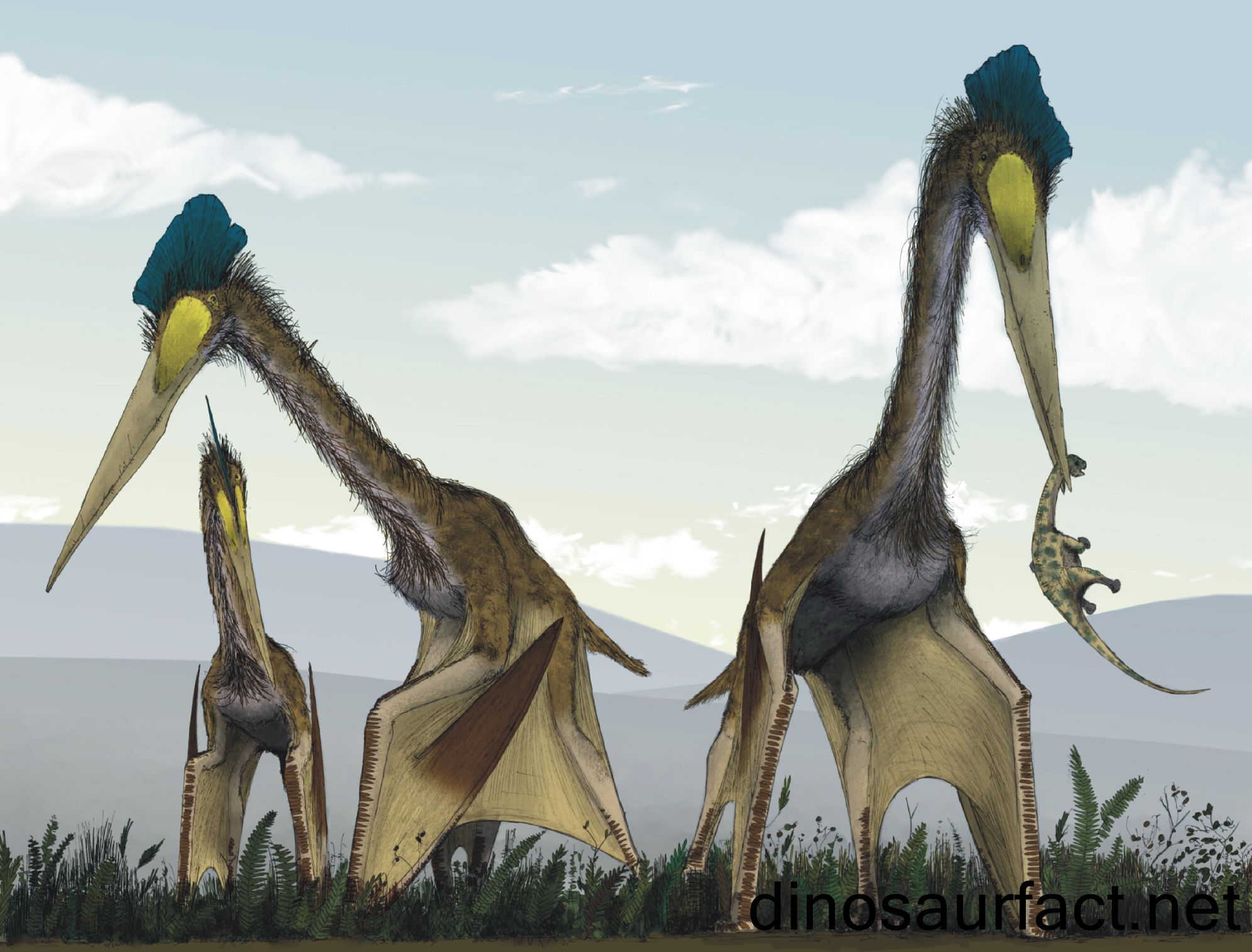 Quetzalcoatlus Dinosaur